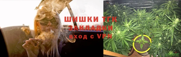 МДПВ Новозыбков