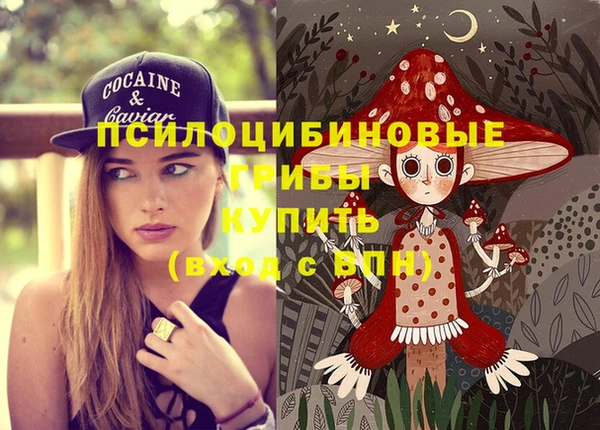 ECSTASY Новодвинск