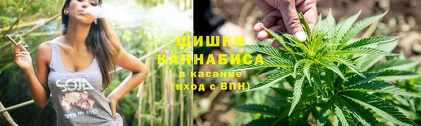 ECSTASY Новодвинск